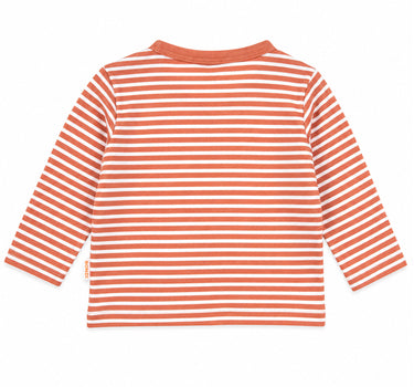BONDI Baby Langarmshirt "Safari" 93966 | stripe terra white